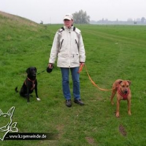 Puschel und ihre beiden Hundis