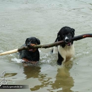 Nala und Freund Charly