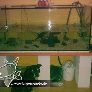 Mein _Aquarium