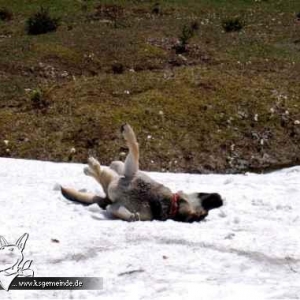 Spaß im letzten Schnee