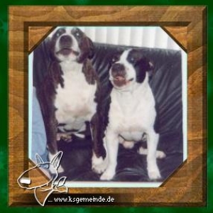 Dickerchen und Django