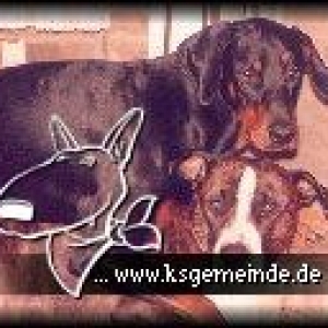 Dickerchen und Charly vorm Kamin