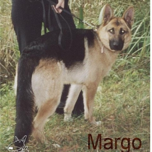 4.Margo