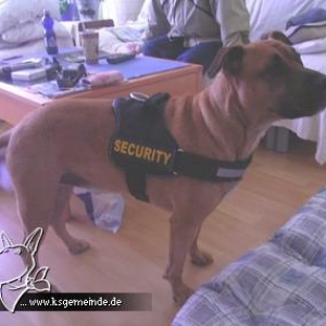 ClydeSecurity