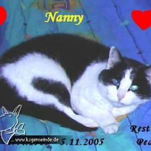 nanny.abschied