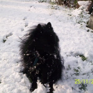 charly im schnee5