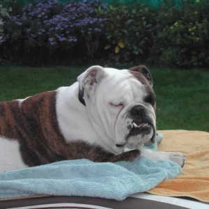 Aimee beim Sonnenbaden