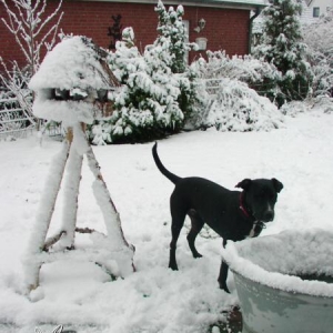 Dezember2005 - Ra-Ka´s erster Schnee