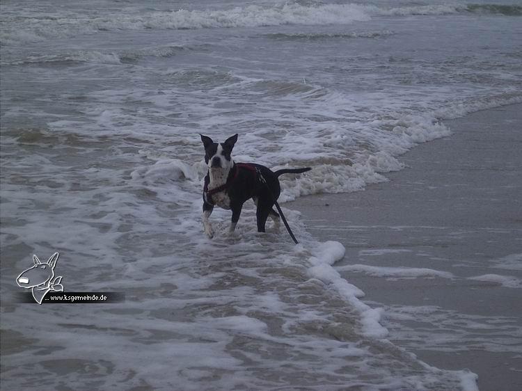 Ab ins Wasser, Lilli!