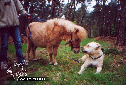 Adi und Monty