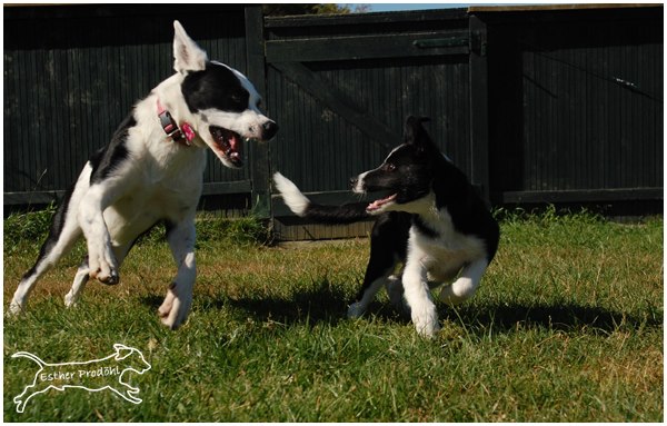 Aidan Und Fia