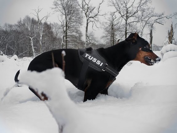 Alina Im Schnee