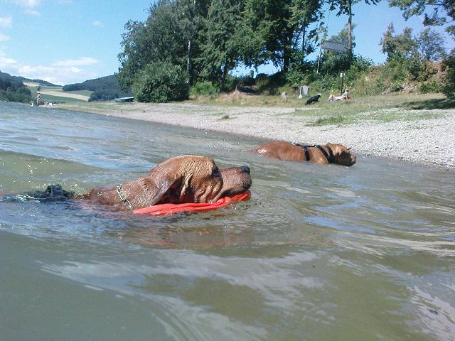 Am Diemelsee