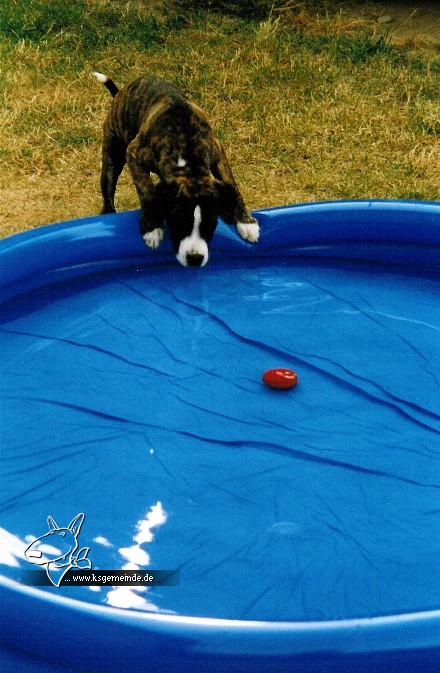 Amy im Pool