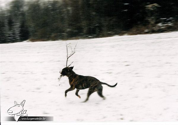 Amy im Schnee!