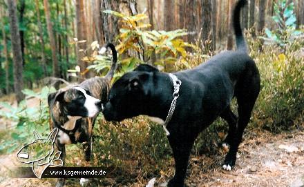 Amy und Spike