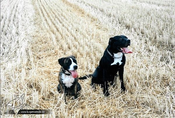 Amy und Spike