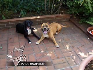 Anni und Leroy