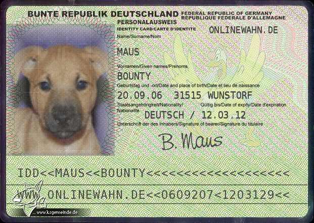 Ausweis von Bounty