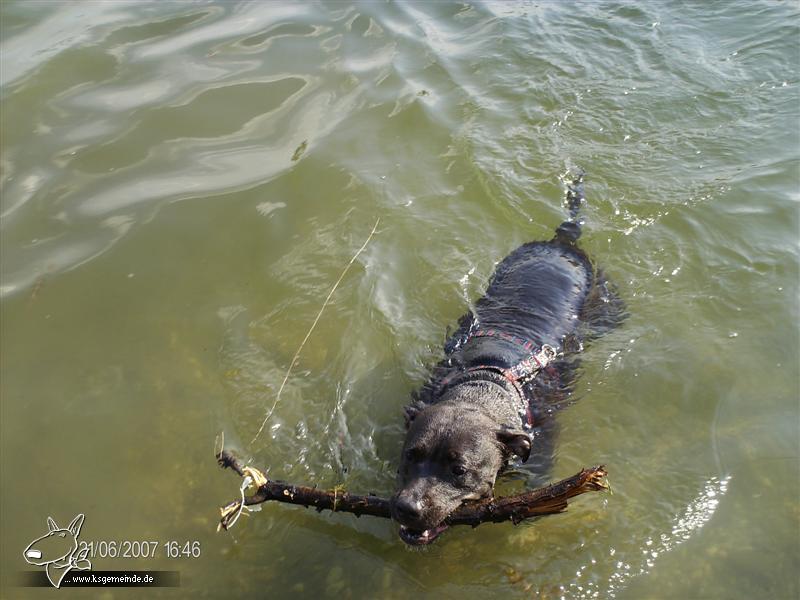 Beim Schwimmen I