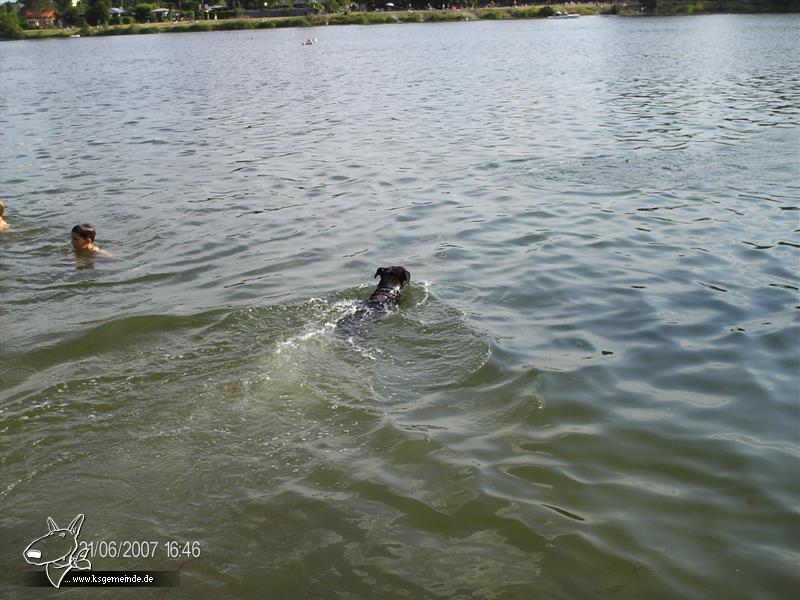 Beim schwimmen