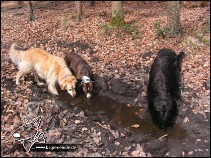 Benny, Amy und Gordon