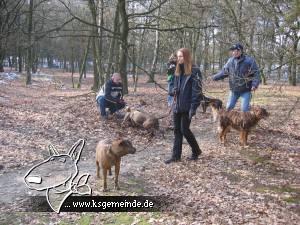 Bild083