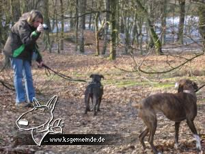 Bild086