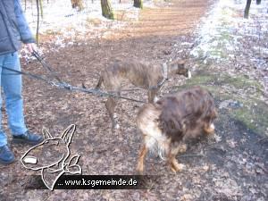 Bild092