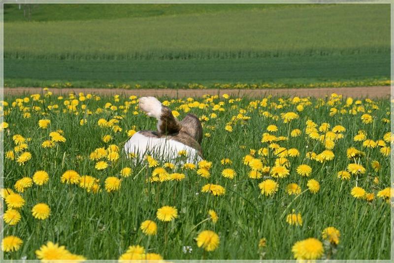 Bilderrätsel...