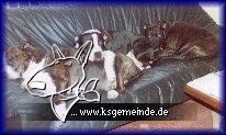 Billy, Django und Bianca