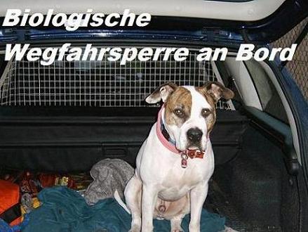 Biologische Wegfahrsperre