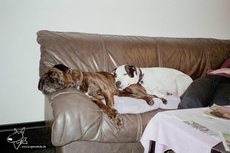 bonni und sheela auf dem sofa