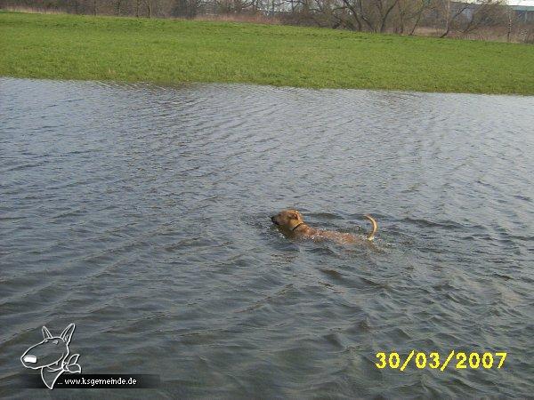 Bounty beim schwimmen