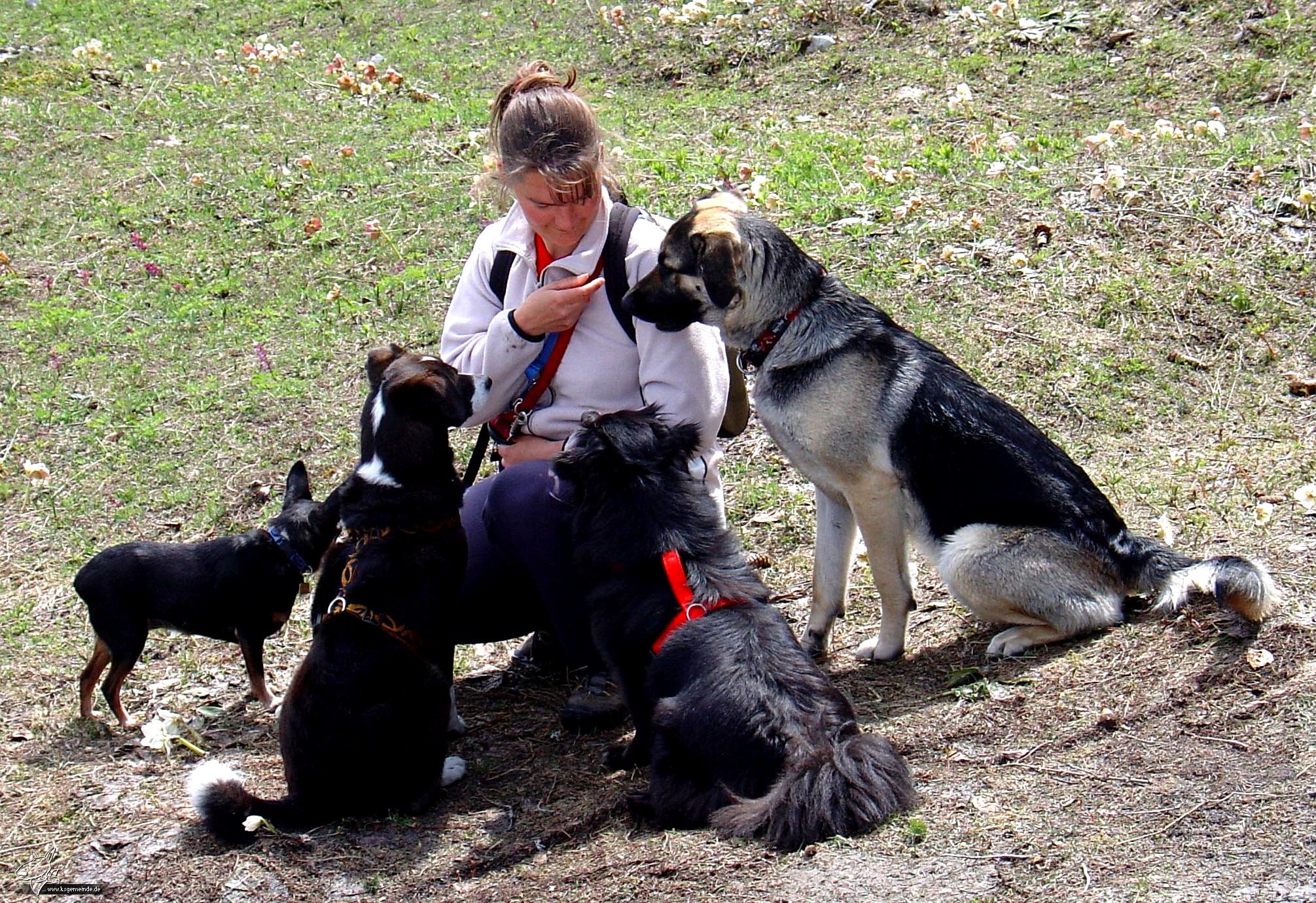 Brigitte und die Bande