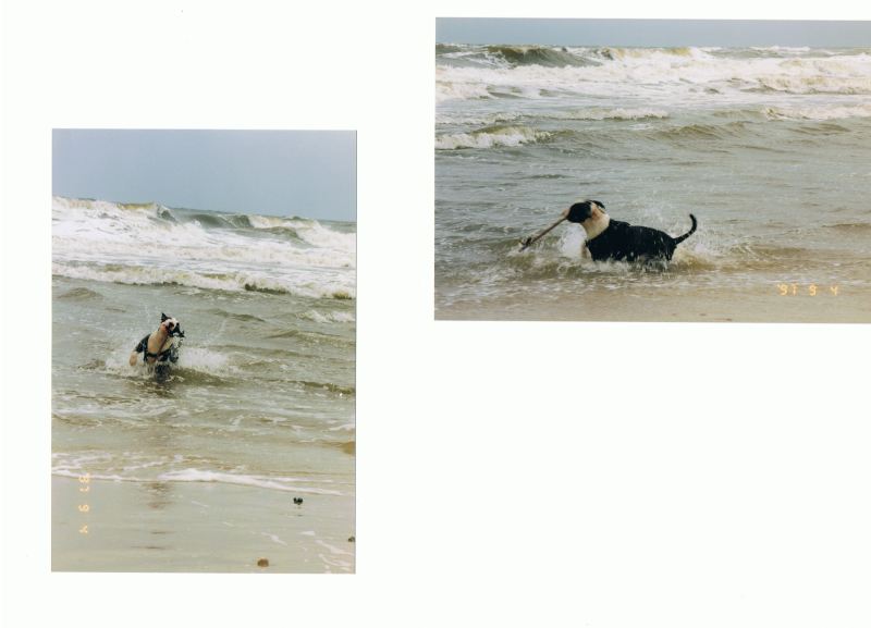 Casper Im Kampf Mit Der Nordsee Im Winter