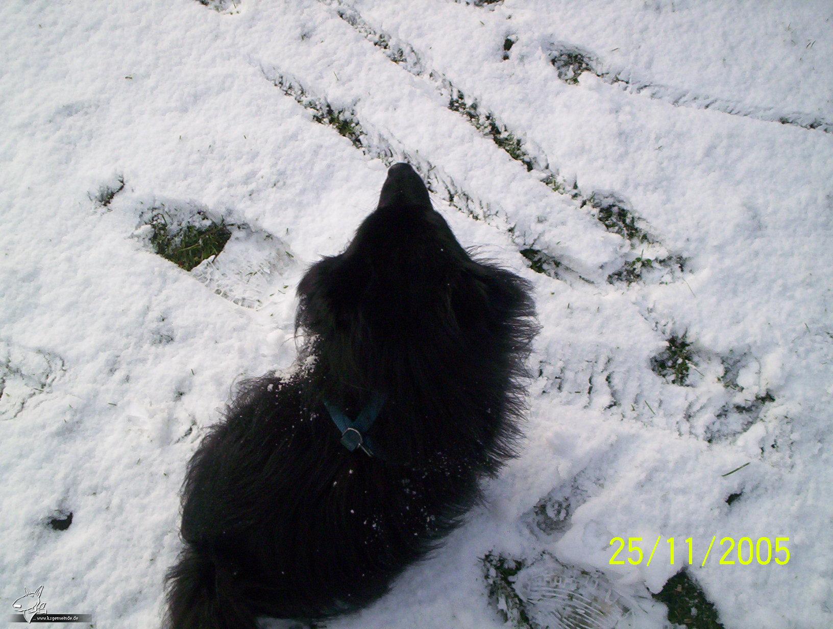 charly im schnee7