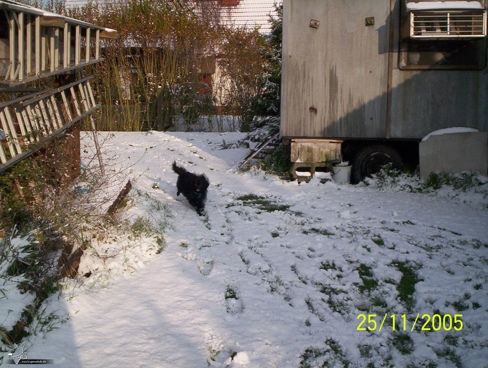 charly im schnee8