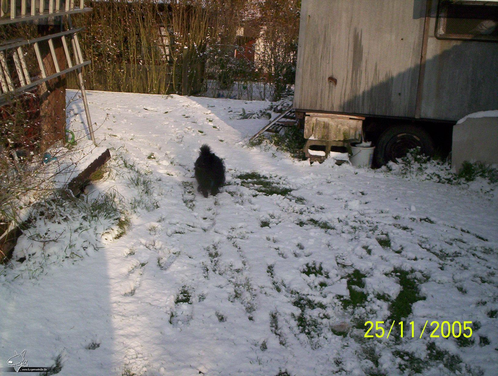 charly im schnee9