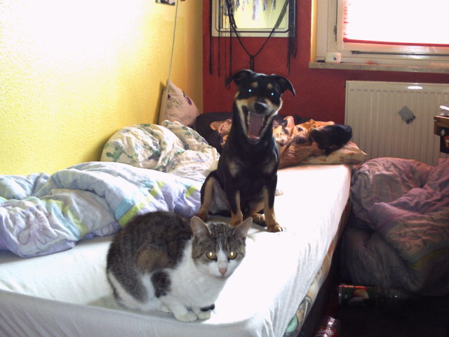 Chico und Katze Trixy