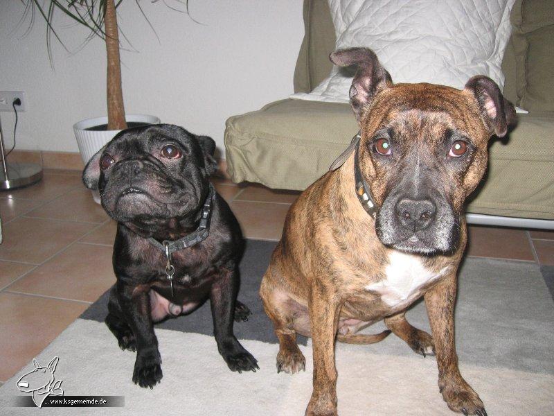 coco und snoop dog