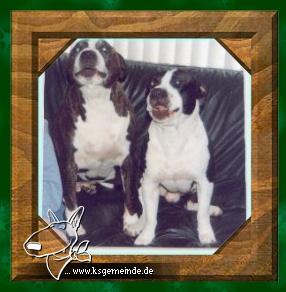 Dickerchen und Django