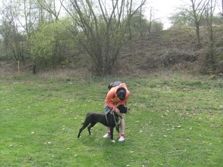 Domino Und Lisa Th Andernach