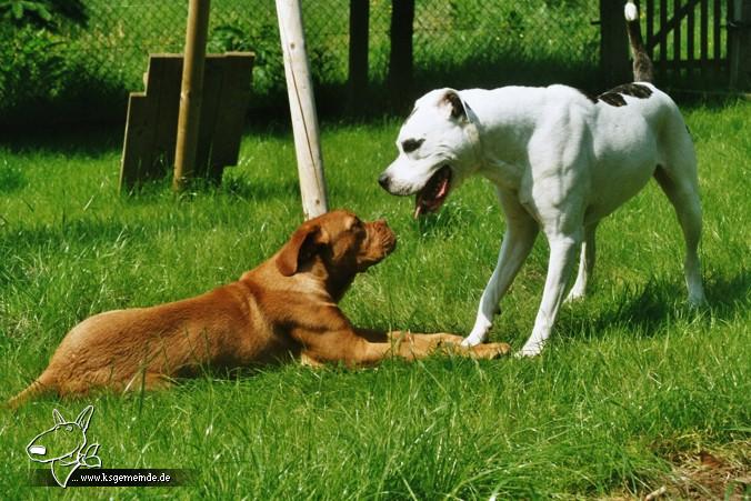 Emma und Barney