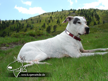 Ferien im Lungau