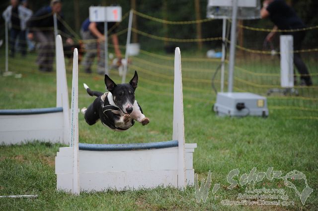 Flyball