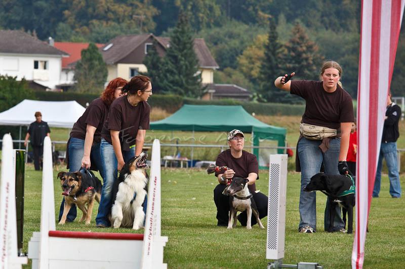 Flyball