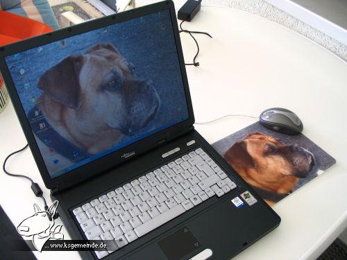 Frauchens Laptop samt Mousepad