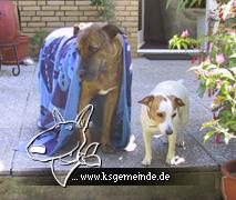 Gina und Seppel