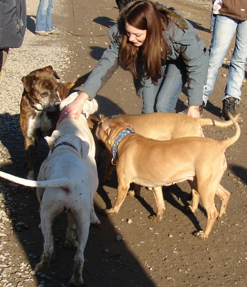 Gruppenkuscheln